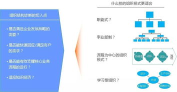 从组织设计到权责清晰 解码管理升级落地的实践路径