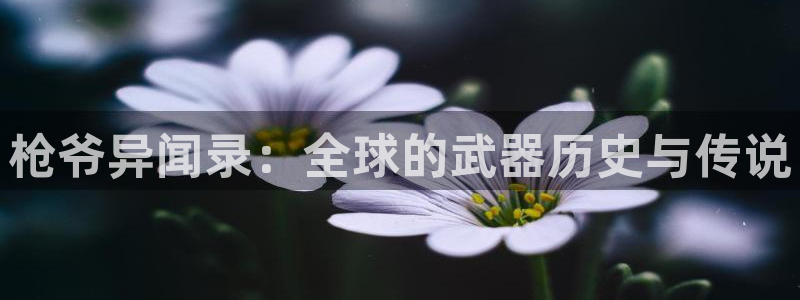 run away漫画韩漫上下拉：枪爷异闻录：全球的武器历史与传说