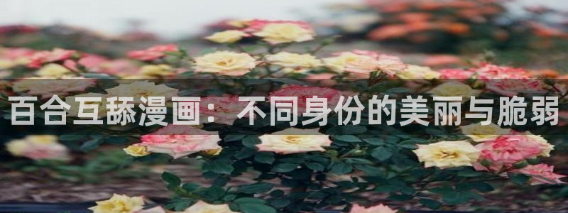 韩漫免费漫画在线看漫画有哪些：百合互舔漫画：不同身份的美丽与脆弱