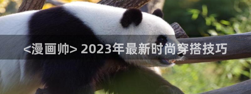 歪歪韩漫无羞遮漫画：<漫画帅> 2023年最新时尚穿搭技巧