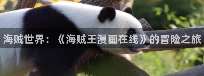 韩漫偷窥网站：海贼世界：《海贼王漫画在线》的冒险之旅
