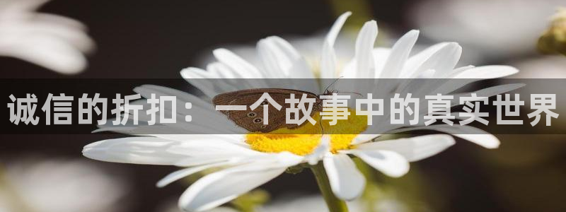 yy漫画韩漫免费：诚信的折扣：一个故事中的真实世界