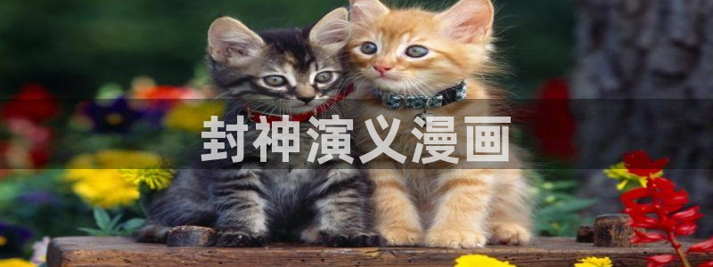 六漫画韩漫