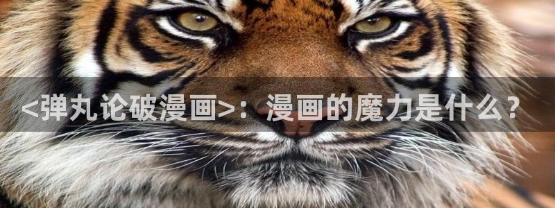 千金韩漫在线观看：<弹丸论破漫画>：漫画的魔力是什么？