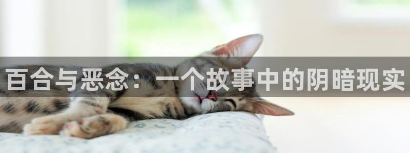 55漫画韩漫