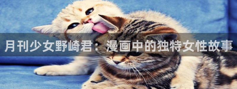 第一韩漫网漫画网址