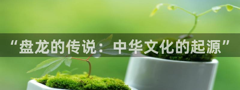 正版官网韩漫